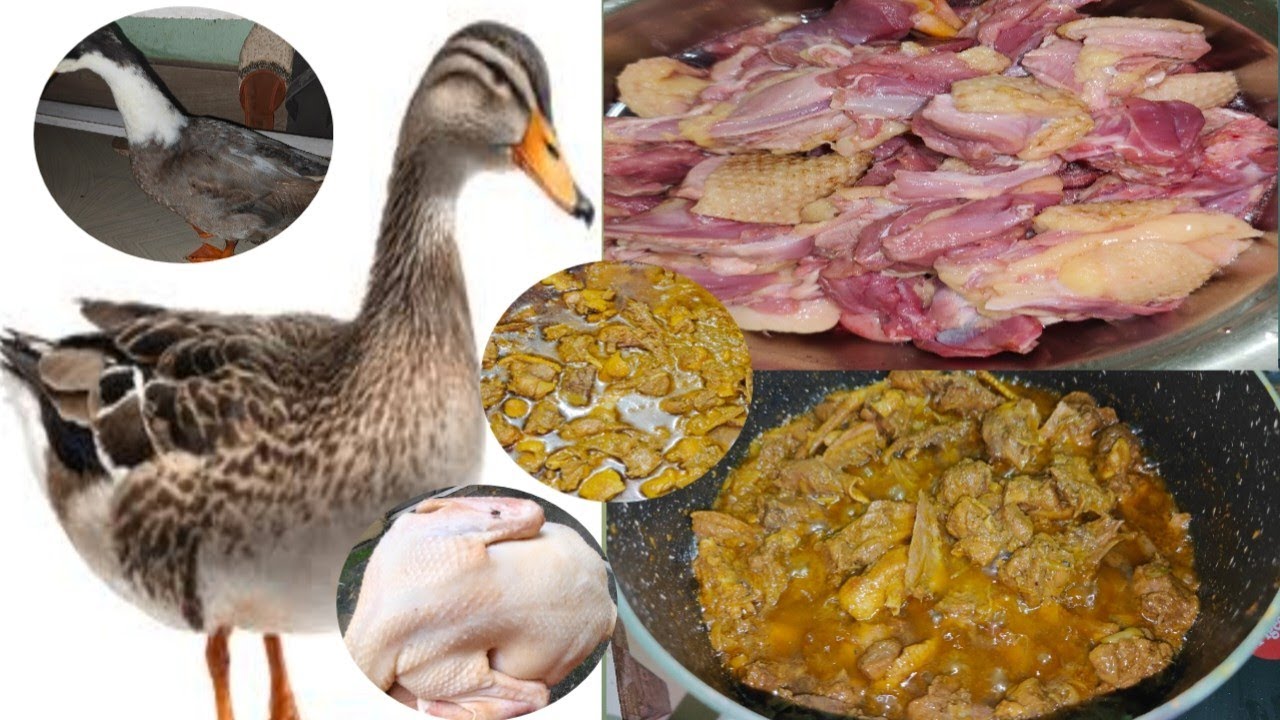 Special Duck Curry cooking !!Hasher Mangsho Ranna Recipe 