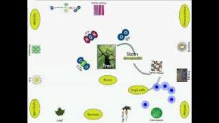 Multi-Touch Software Demo (Spider diagrams-Full Multitouch)