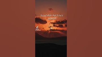 بندر اليسر تلاوة هادئة