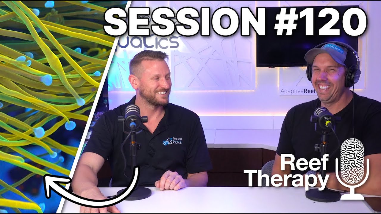 Секреты процветающей мегафермы кораллов с Кевином Бурдой из Top Shelf Aquatics | № 120