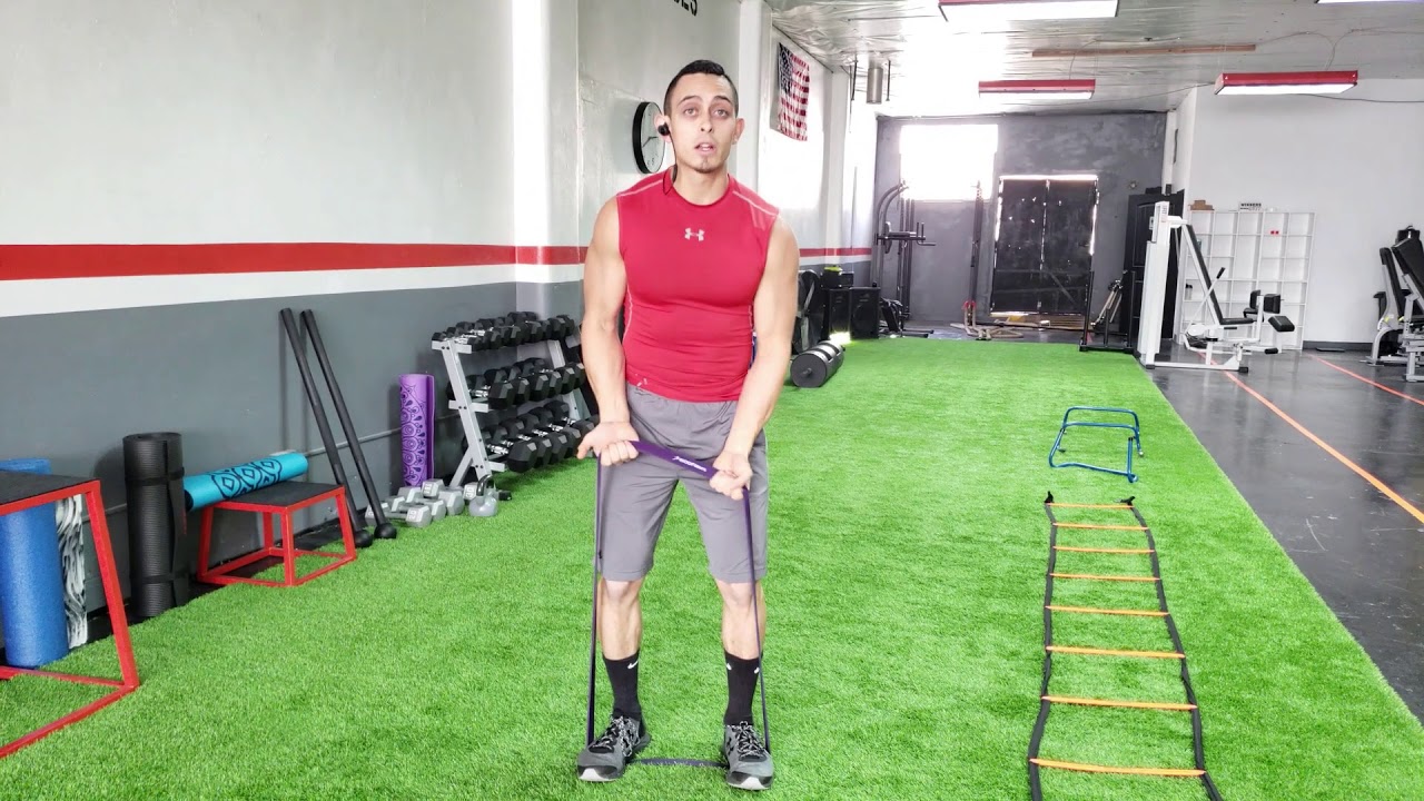 resistance tubes target How to Perform and Properly Execute & MASTER Speed Band Bicep