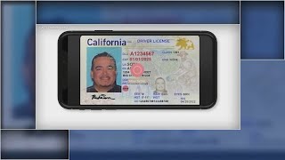 How mobile driver's license tech could be used by Bay Area businesses screenshot 1