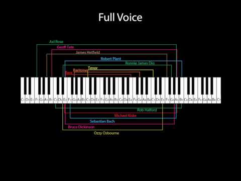 youtube player