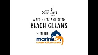 A Beginner's Guide to Beach Cleans with the Marine Conservation Society
