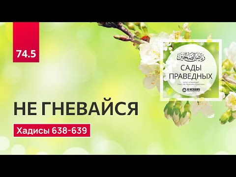 74.5 Сады праведных. Не гневайся. Хадисы 638-639. Ринат Абу Мухаммад