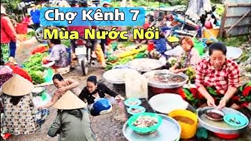 Chợ Kênh 7 Mùa Nước Nổi 2025 – Cá Tôm Tươi Roi Roi, Người Mua Kẻ Bán Nhộn Nhịp