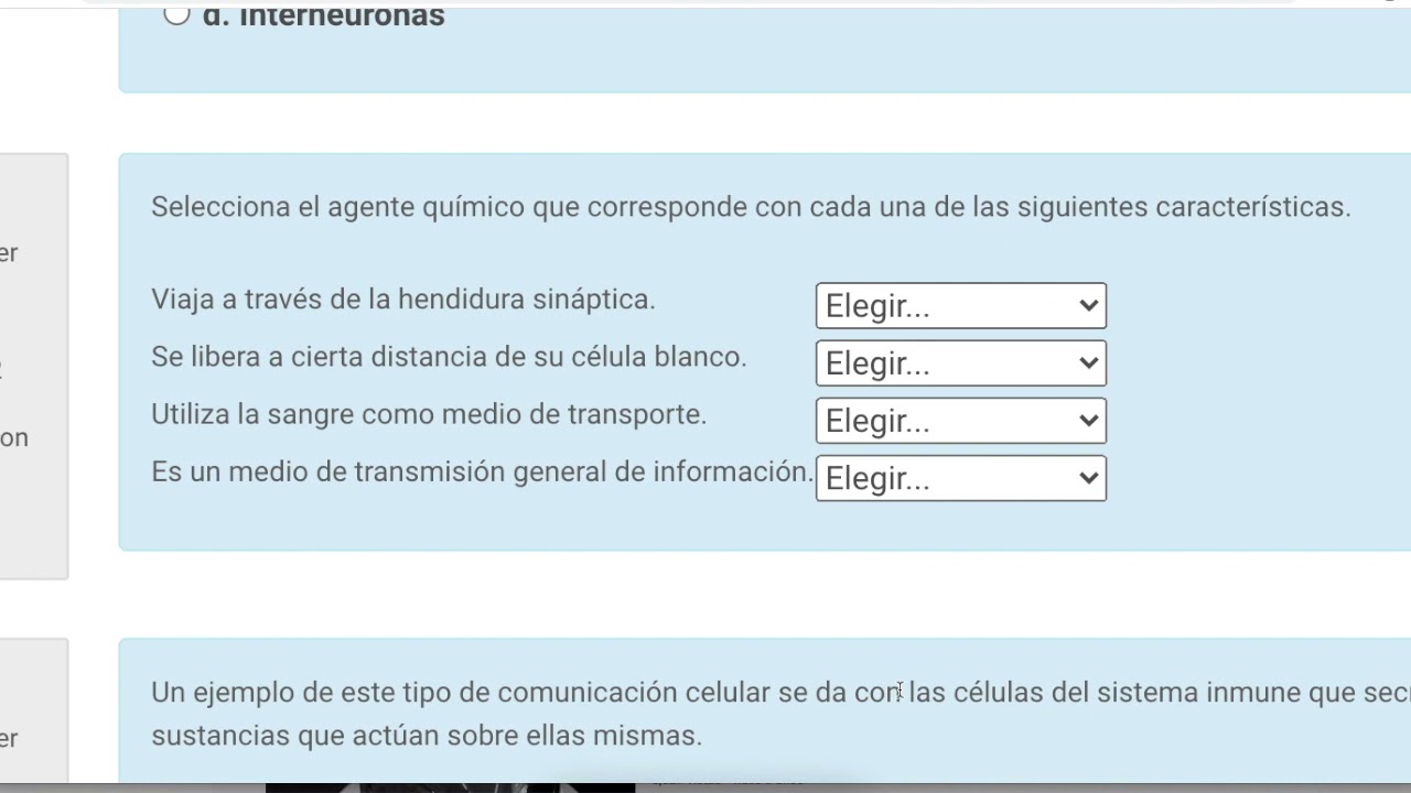Módulo 16 Bloque A Semana 3 AF5. Sistemas involucrados en la