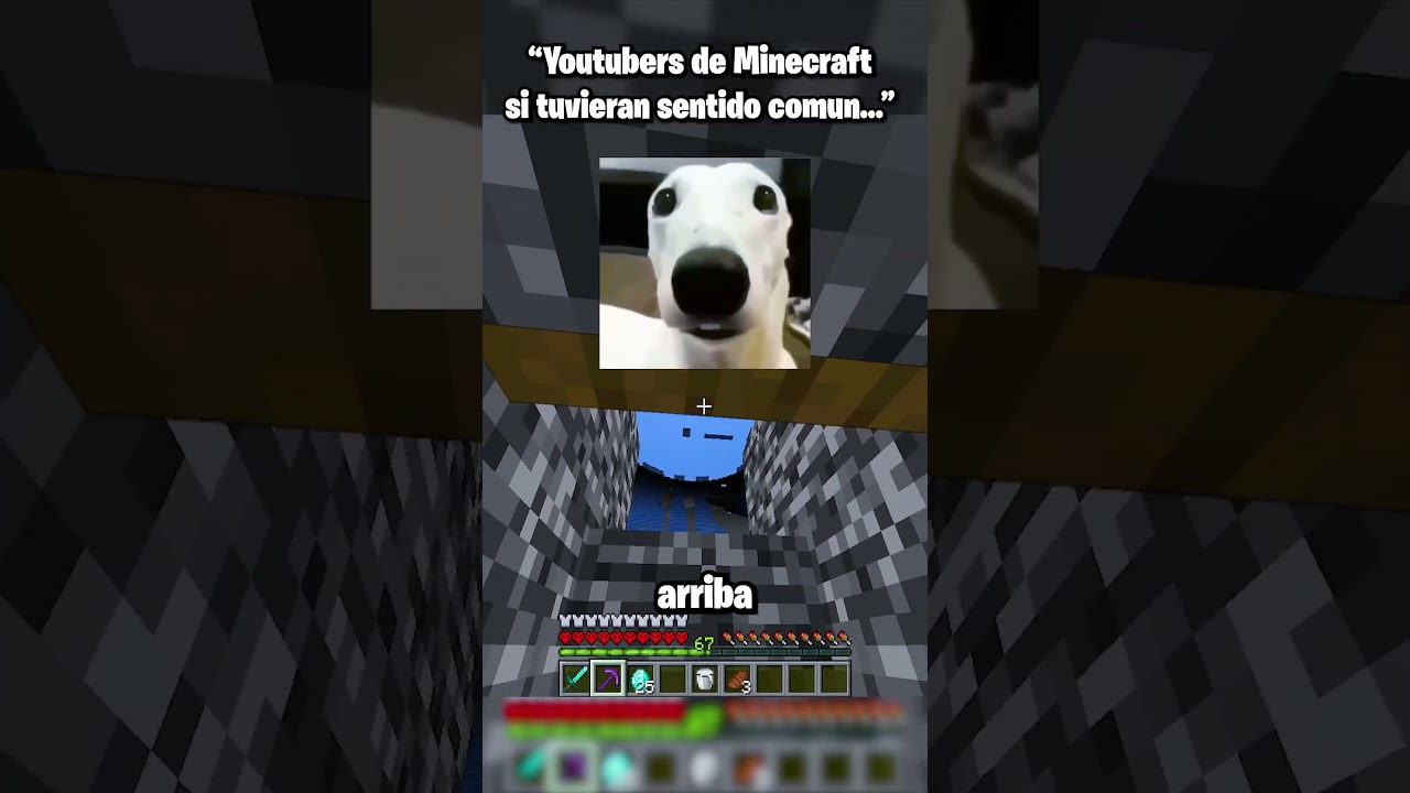 YouTubers de Minecraft si tuvieran sentido común #shorts #minecraft