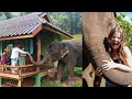 Off-Grid Tiny House surrounded by elephants!