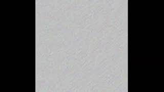 Pplschampion Live Stream