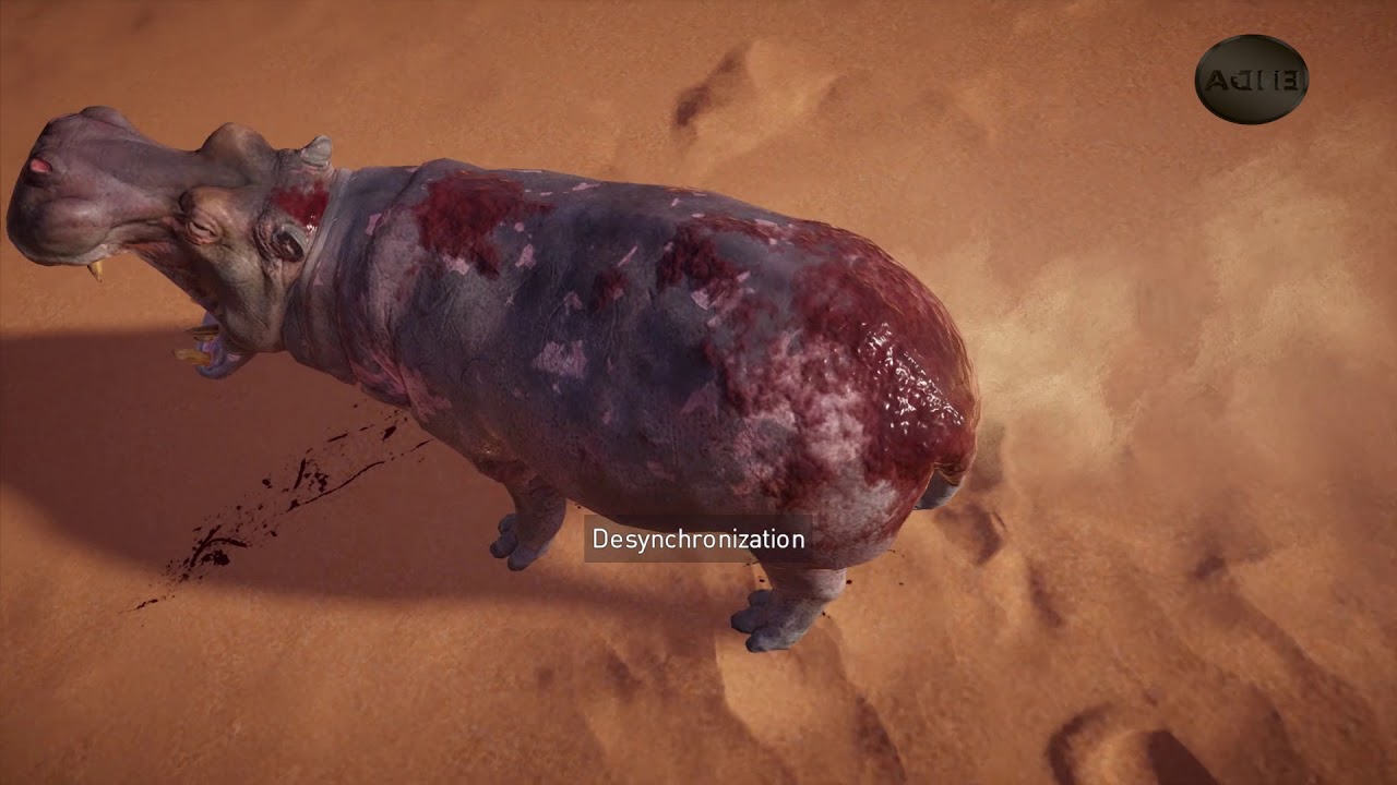 Assasin dikejar putri duyung