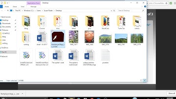 Adobe Shockwave and Flash
