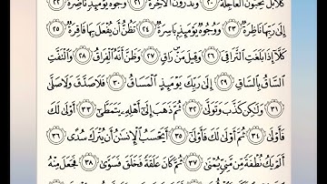 سورة الفاتحة وسورة القيامة بصوت القارئ عماد السالمي