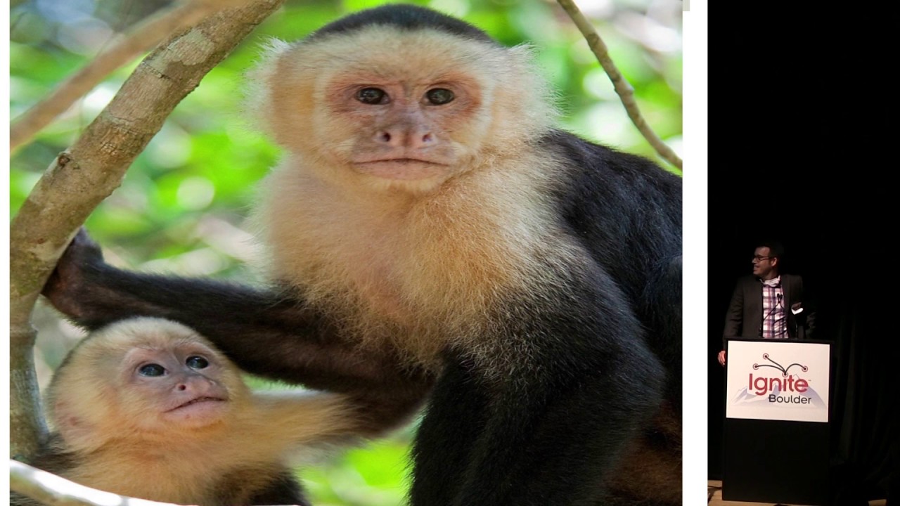 Aaron Brown "Humanitarian Technology" at Ignite Boulder 32"