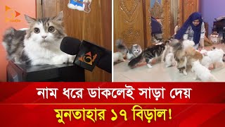 নাম ধরে ডাকলেই সাড়া দেয় মুনতাহার ১৭ বিড়াল! | Nagorik TV Special screenshot 1