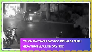 TPHCM Cây Xanh Bật Gốc Đè Hai Bà Cháu Giữa Trận Mưa Lớn Gây Sốc