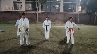 Basic Katas sheoho Tsukino Ichi  Ni San Shi yon Go Roku kata karateseishinkai kio 