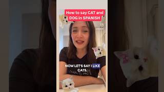 Basic Spanish #spanish CAT AND DOG IN SPANISH