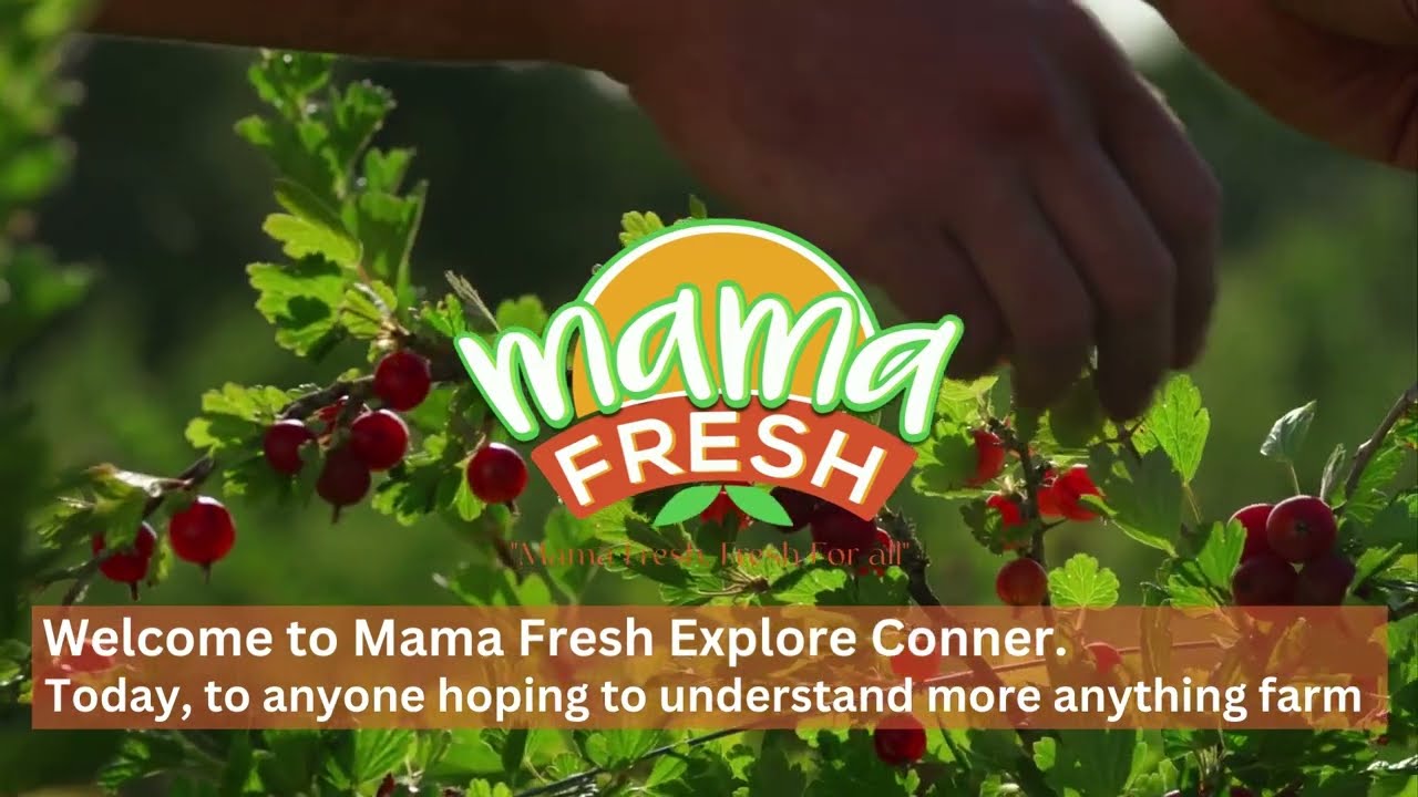 Revolutionizing Agriculture: Mama Fresh Explore Conner talk on cutting-edge Farm Technology