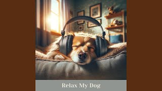 Harmony for Paws