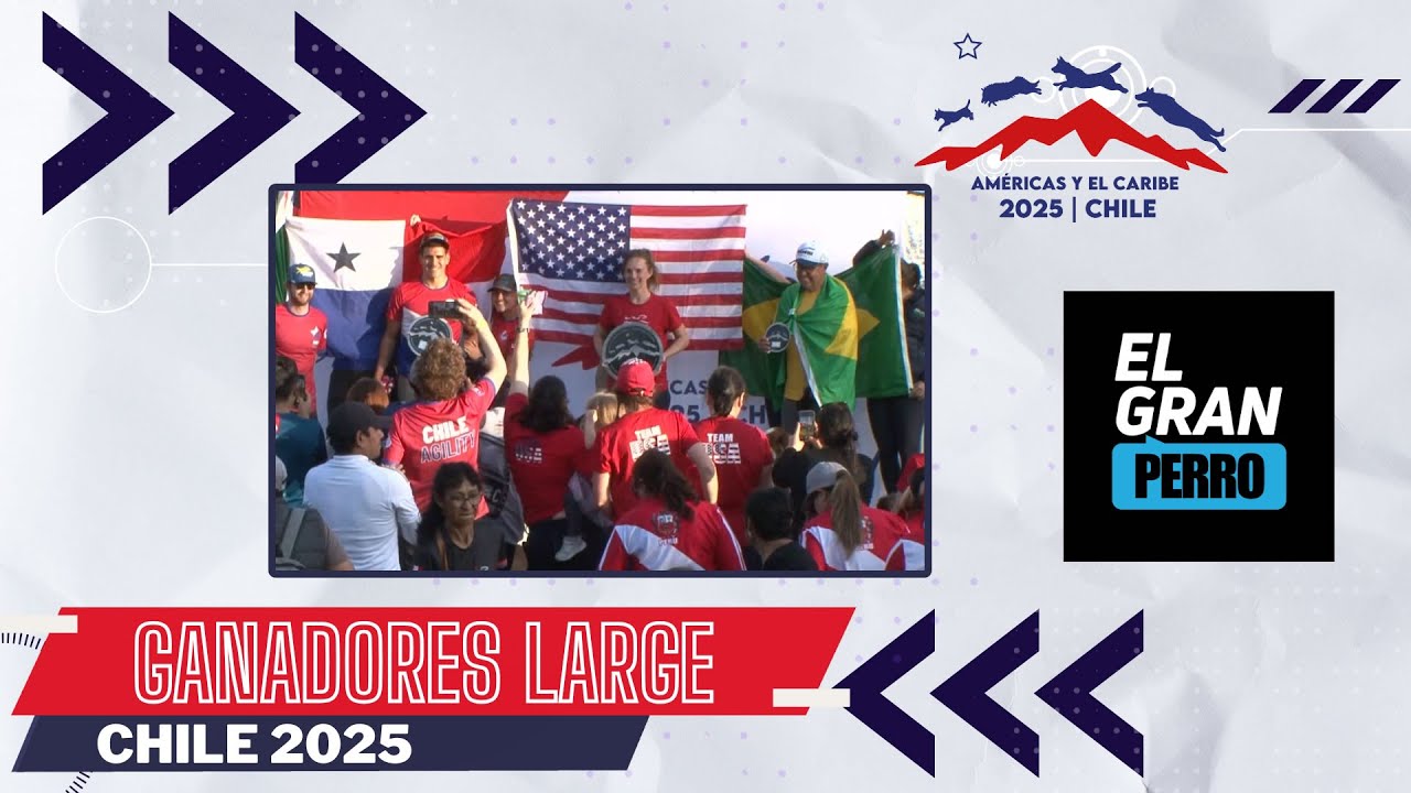 Ganadores Large - Agility Américas y el Caribe Chile 2025