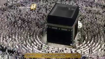 تلاوة من سورة النمل بصوت فضيلة الشيخ د ماهر المعيقلي