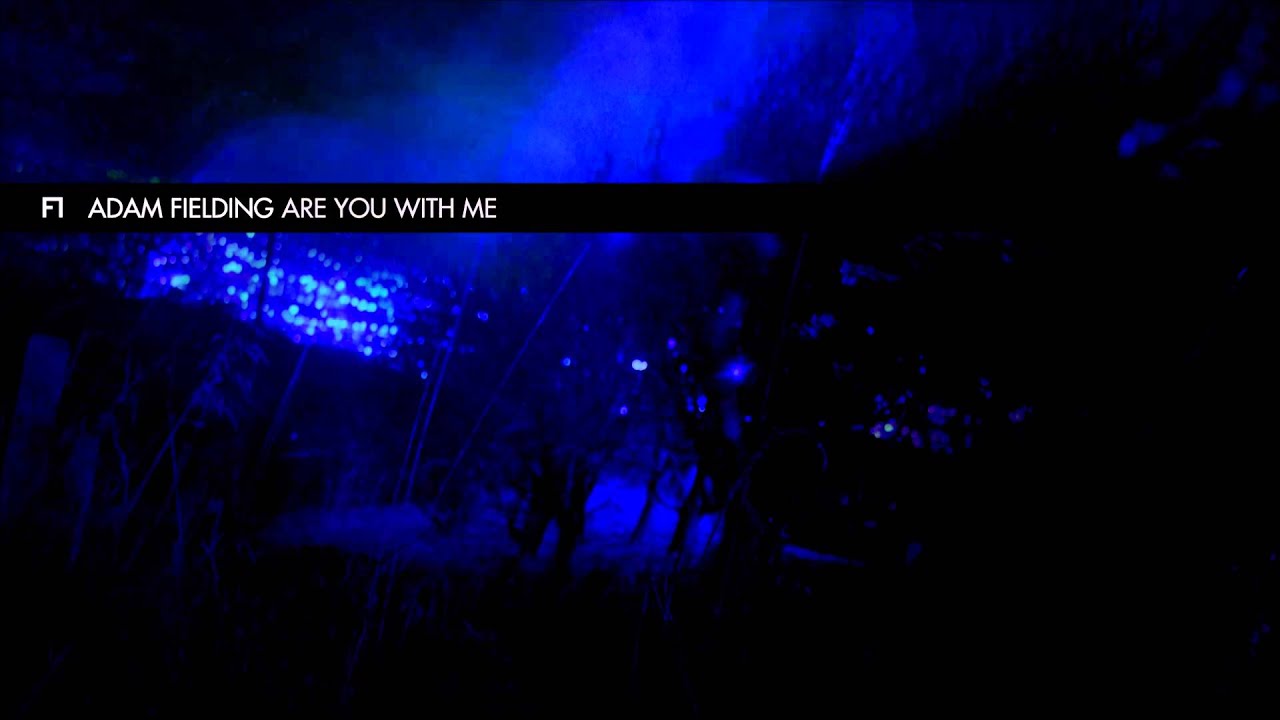 Adam Fielding - Are You With Me (Soundtrack Edit)
