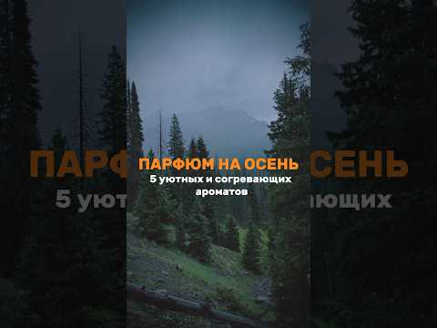 Пиши свои любимые