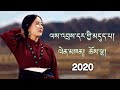New tibetan song 2020 by choelha 