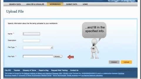 IRD Workbench: 10. Upload/Analyze your own Data