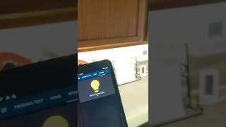 Famous ESP32 / MicroPython / Home Assistant Project: Functioning Relay Controller Prototype Net Worth