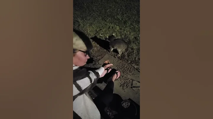 The Crazy Racoon Lady!!!