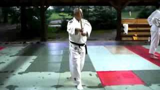Second kata bokken - Kobayashi Ryu