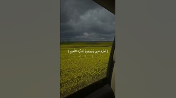 ان الأبرار لفي نعيم || سورة الإنسان القارئ شريف مصطفئ🤍🌹
