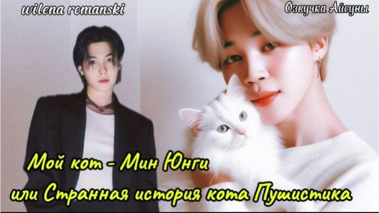 Мой кот - Мин Юнги или Странная история кота Пушистика / wilena romanski / Юнмины Yoonmin / озвучка