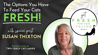 Options for Feeding Cats Fresh Food with Susan Thixton | Get Fresh With Your Feline