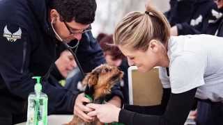 BISSELL Pet Foundation - Operation Spring Break