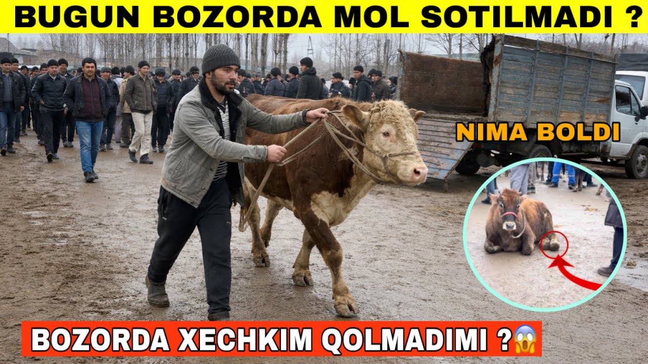 Bozorda Xamma Diqqat🤯 Odam Yoq Bozorda Narxlar Nima Boldkin Tergachi Sotilganlari#2026 #molbozor 
