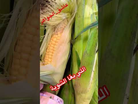 الكبال موجود اللي بغا الشواية عاشق الجواهر مول الياقوتة حمراء اكسبلور طيور تيك توك  سمك