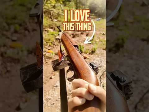 I Love The M1 CARBINE!