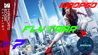 Mirrors Edge: Catalyst Walkthrough - Fly Trap