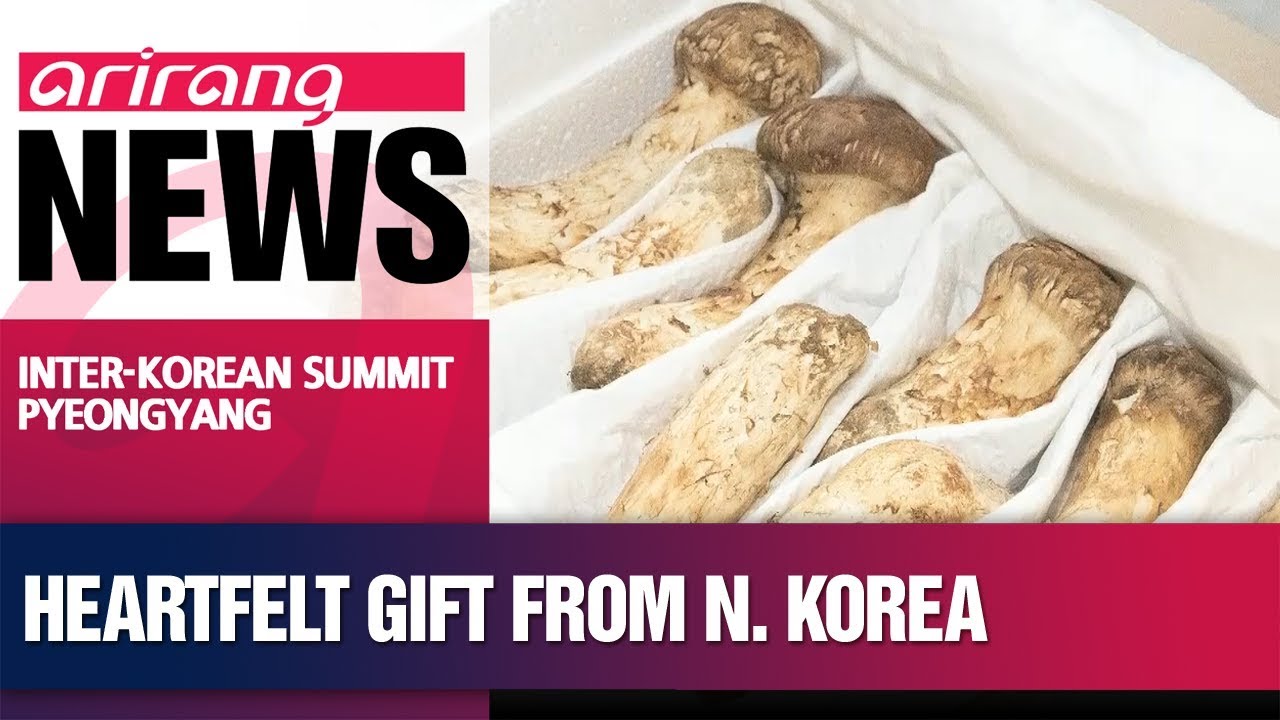 N. Korea sends gift of pine mushrooms following historic summit YouTube