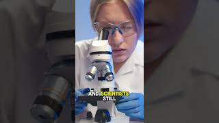 Mpemba effect 🧊 #shorts #sciencefacts #natureshorts