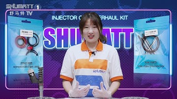 Original with neutral packaging | C13 C15 C18  3196 | fuel injector repair kit