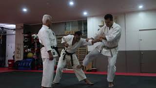 TOMARI PASSAI kata and bunkai with Arakaki Sensei (Matsubayashi Shorinryu karate)