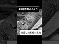 【未確認生物のミイラ】捏造した教授の末路#架空世界 #都市伝説