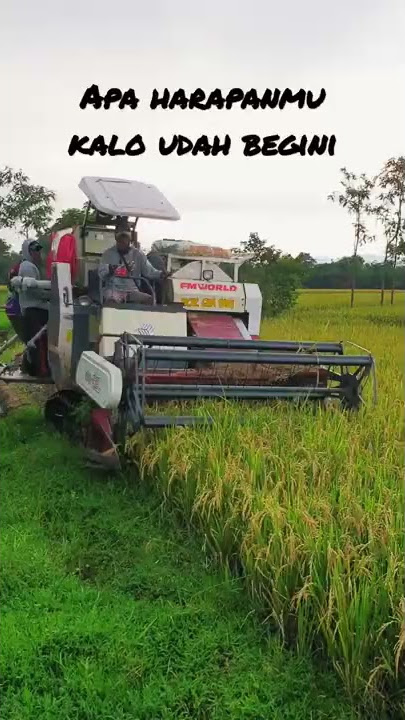 Combine mesin padi paling cepat