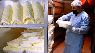 This factory makes 5 tons of kaymak and yogurt a day!