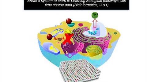 nested effects model
