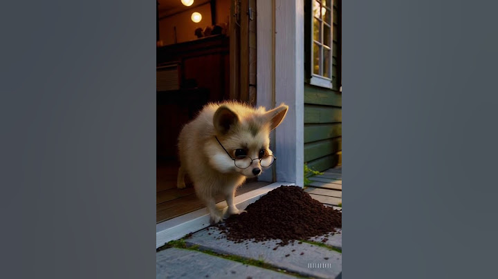 A gentle puppy, moved into Animal Town for the first time.